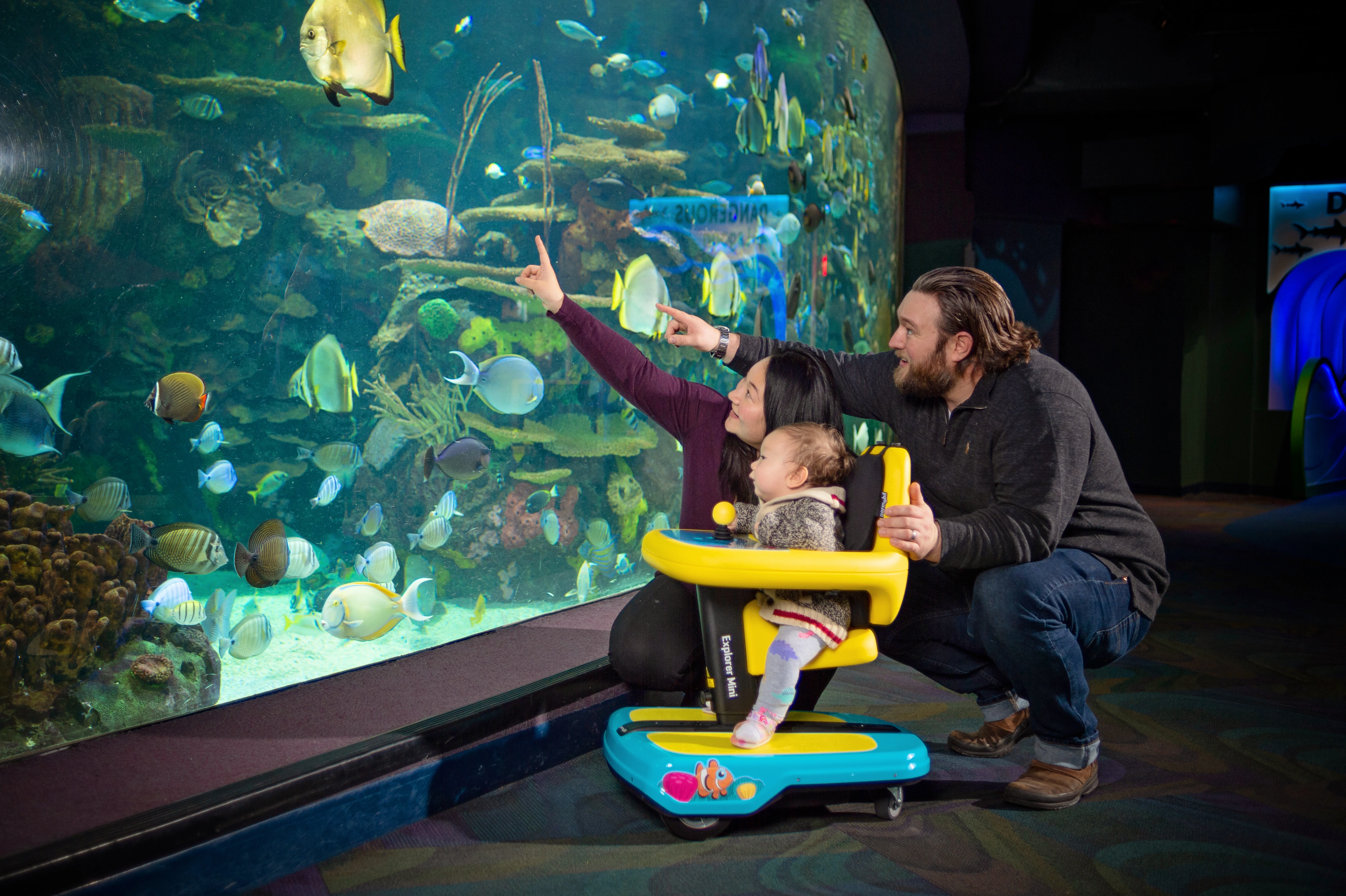 Explorer Mini Girl Aquarium
